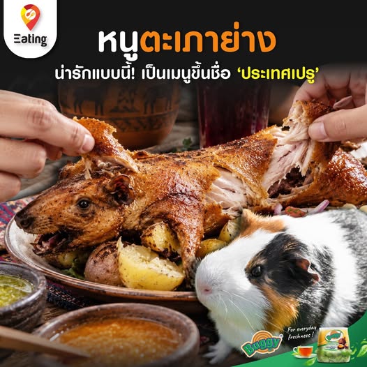 Eating Photo